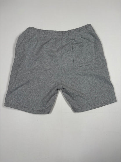 (XL) Stüssy Shorts